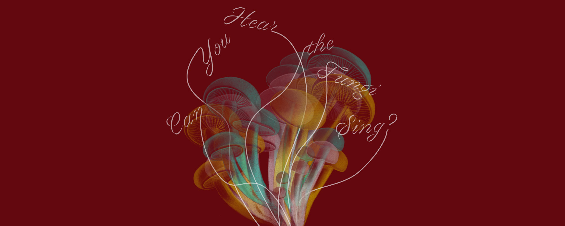 Can You Hear the Fungi Sing?