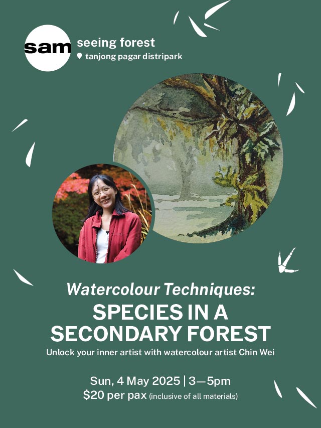 Watercolour Techniques - Species in a secondary forest