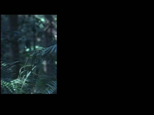 'Body Double (Platoon)'. Stephanie Syjuco. 2007. Three channel video on flat panel LCDs, unsynched, endlessly looped, silent.